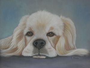 Pastels, art, dog,, animals