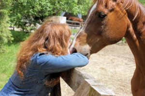 Copper and Me
