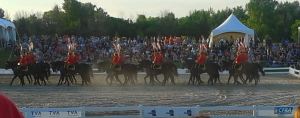Musical Ride